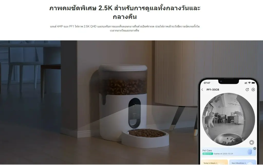 การมองเห็นกลางคืน - Copy.webp