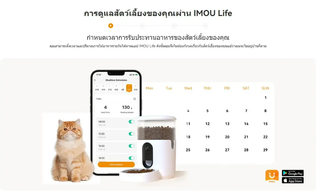 ตารางให้อาหาร.webp