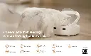 PF009 001.webp